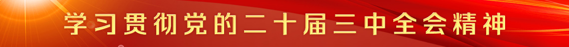 學習貫徹黨的二十屆三中全會精神